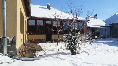Hostal Pensiunea Ana-dragusana