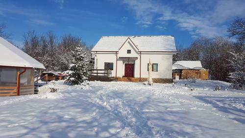 Hostal Pensiunea Casa Runcu Buzau