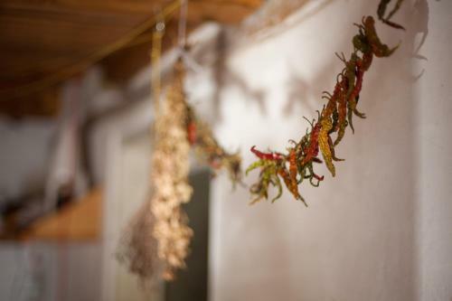 Agroturismo Casa Lui Craciun