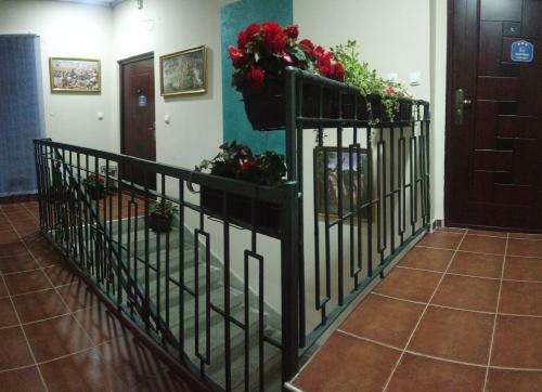 Apartamentos Bolonja