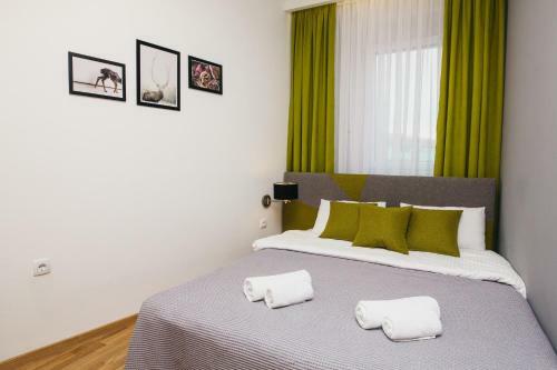 Arena Big Luxury Apartments