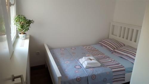 Ns Center Apartment
