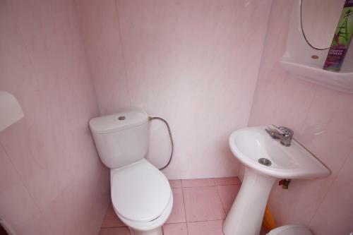 Hostal Guest House Viktoria House