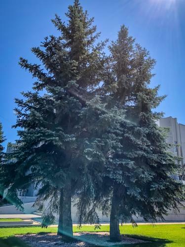 Apartamento ?????-????? Guesthouse