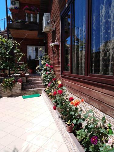 Hostal Guest House Letniy