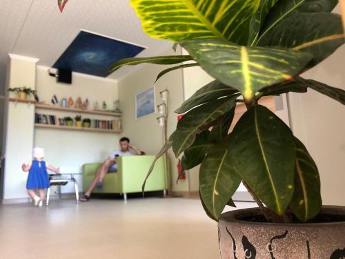 Apartamenty Na Pogranichnoy 4