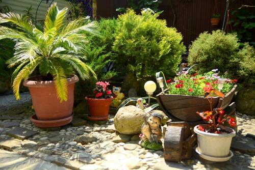 Hostal Prichal 38