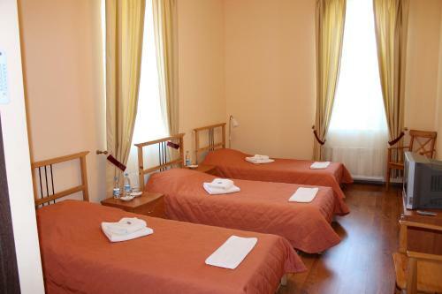 Hotel Volkhov Most