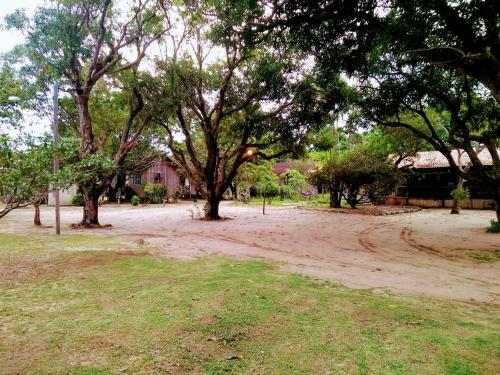 Hostal Pousada Bosque Dos Aru�s