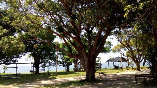 Hostal Pousada Bosque Dos Aru�s