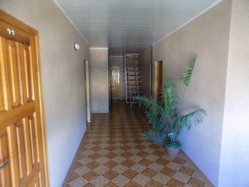 Hostal Guesthouse Viola