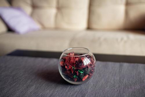 Apartamento Lux Na Festivalnom