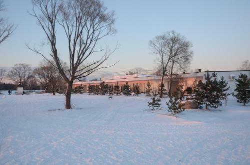 Eco-hotel Vetochka