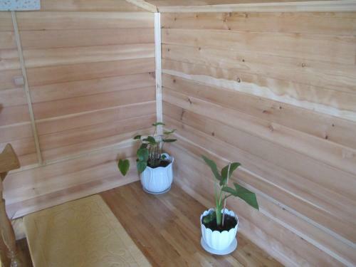 Posada Ramanov Plyos Guest House