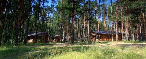 Hotel Myshkino Podvorye