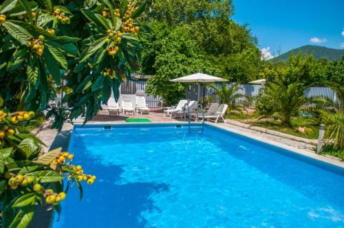 Hostal Guest House "hotel Palmik"