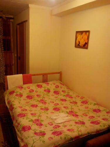 Hostal Valentina Guest House