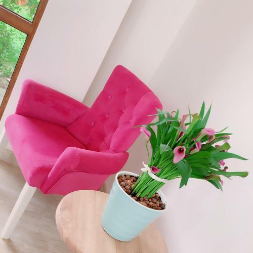 Hotel Guest House Anesti