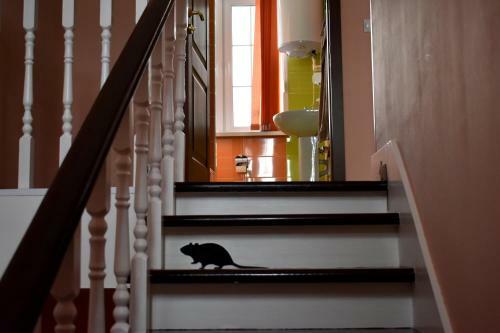 Hotel Akulovo Country Dale