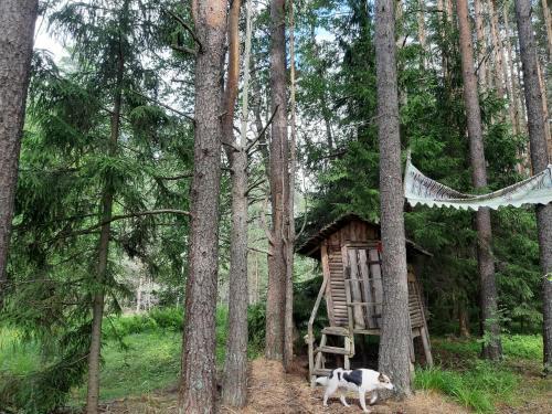 Hostal Guest House Eco-residency Troiza
