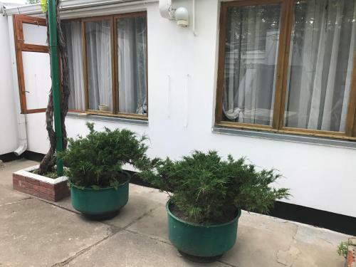 Hostal Guest House In Anapa