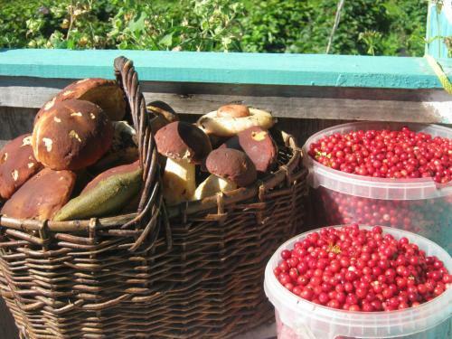 Agroturismo Dom Na Beregu Ozera
