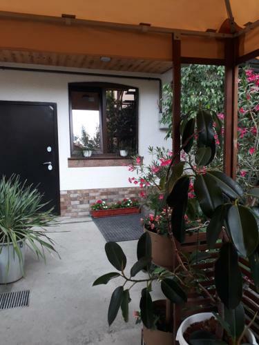 Hostal House On Chapaeva