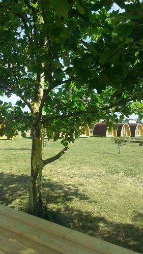 Village Jurka