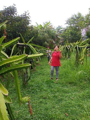 Hotel Ton Had Resort Bor Saen