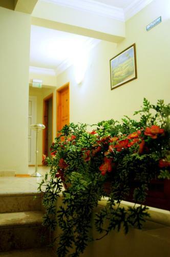Hotel Luna Piena