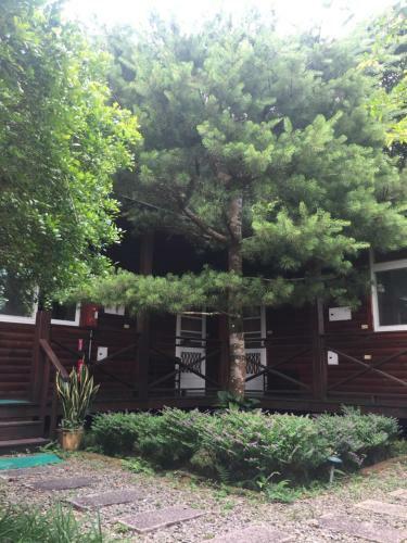Yu Ho Yuan Lesiure Homestay