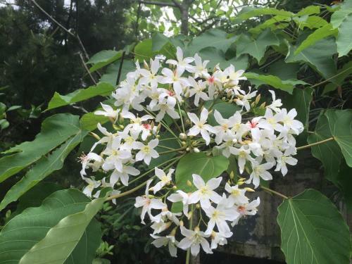Yu Ho Yuan Lesiure Homestay