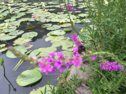 Yu Ho Yuan Lesiure Homestay