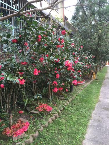Yu Ho Yuan Lesiure Homestay