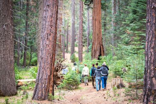 Evergreen Lodge At Yosemite