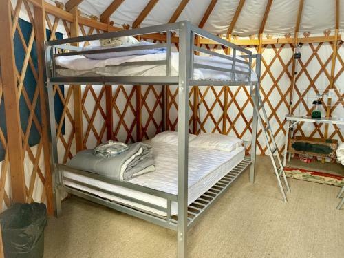 Lodge Lawson Adventure Park