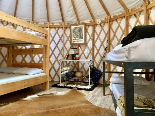 Lodge Lawson Adventure Park