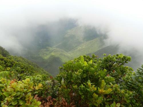 Apartamento Ka Hale Kealoha