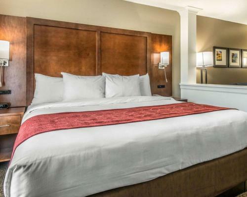 Hotel Comfort Suites Near Rainbow Springs Dunnellon