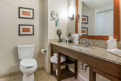 Hotel Comfort Suites Near Rainbow Springs Dunnellon