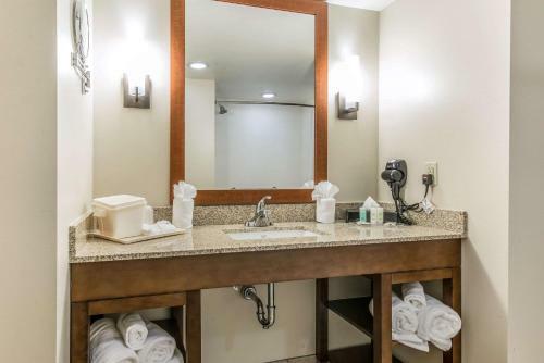 Hotel Comfort Suites Near Rainbow Springs Dunnellon