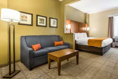 Hotel Comfort Suites At The University