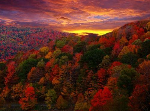 Buffalo Creek Bed And Breakfast