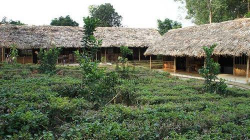Family Homestay