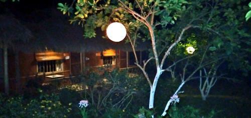 Family Homestay