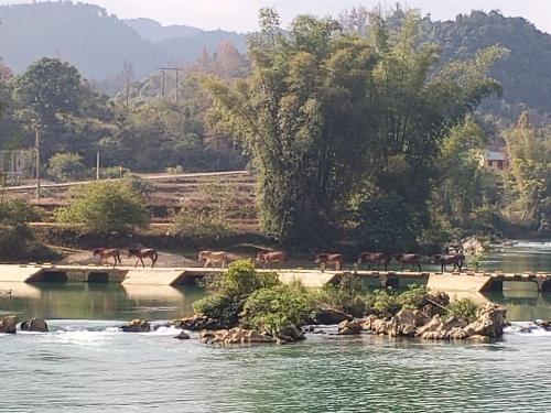 Hotel Tung Duong Guest House
