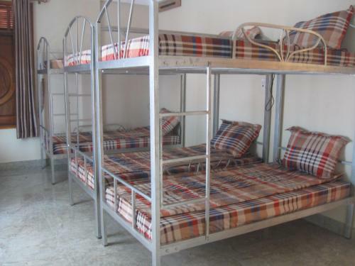 Phong Nha Gecko Hostel