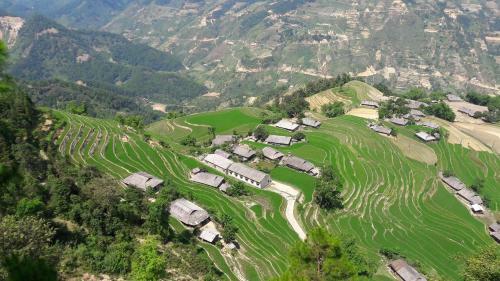 Big Tree Hmong Homestay