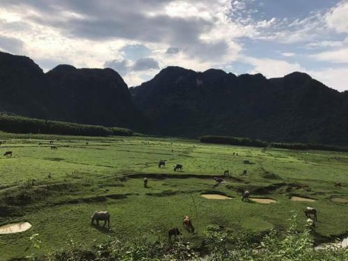 Phong Nha Riverside Homestay