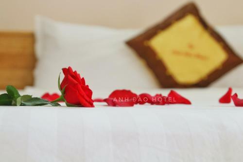 Anh ?�o Hotel